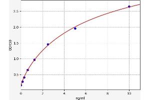 COL6A1 ELISA 试剂盒