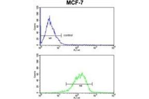 Flow Cytometry (FACS) image for anti-RNA Binding Motif Protein 3 (RBM3) antibody (ABIN3003187) (RBM3 抗体)