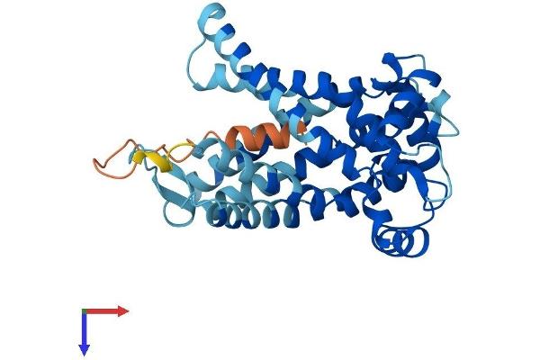 SLC25A16 Protein (AA 1-332) (His tag)