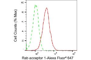 Flow cytometric analysis of Rab acceptor 1 expression in H9c2 cells using Rab acceptor 1 antibody (ABIN7800086), 1:2,000). (Recombinant RABAC1 抗体)
