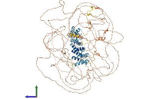 Protein Structure (PS) image for G Protein-Coupled Receptor Associated Sorting Protein 1 (GPRASP1) (AA 1-1347) protein (His tag) (ABIN7563854)