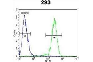 Flow cytometric analysis of 293 cells using Alpha-Mannosidase 2 / MAN2A1 Antibody (Center) Cat.