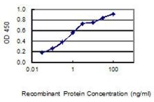 Detection limit for recombinant GST tagged SCGB2A1 is 0. (SCGB2A1 抗体  (AA 1-95))