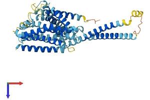 G Protein-Coupled Receptor 89B (GPR89B) (AA 1-455) protein (His tag)