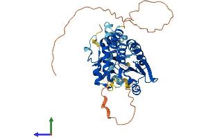 Protein Structure (PS) image for Dual Specificity Phosphatase 4 (DUSP4) (AA 1-398) protein (His tag) (ABIN7558500)