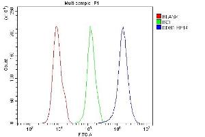 Flow Cytometry analysis of 293T cells using anti-DDB1 antibody (ABIN3043823).