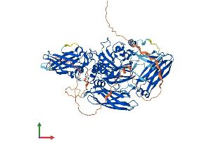 Protein Structure (PS) image for Transglutaminase 1, Keratinocyte (TGM1) (AA 1-817) protein (His tag) (ABIN7555767)