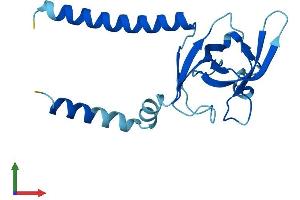AlphaFold protein structure predicition of Human Recombinant SEC11B Protein, UniprotID P0C7V7 (SEC11B Protein (AA 1-166) (His tag))