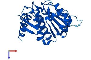 SENP8 Protein (AA 1-212) (His tag)