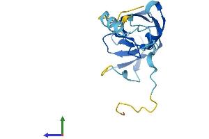 Protein Structure (PS) image for HERV-K104 (AA 1-156) protein (His tag) (ABIN7545135)
