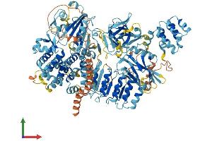 Protein Structure (PS) image for NLR Family, Pyrin Domain Containing 1B (NLRP1B) (AA 1-1177) protein (His tag) (ABIN7561858)