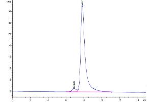 Size-exclusion chromatography-High Pressure Liquid Chromatography (SEC-HPLC) image for Fibroblast Activation Protein, alpha (FAP) (AA 26-761) protein (His tag) (ABIN7274586)