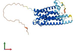 Protein Structure (PS) image for G Protein-Coupled Receptor 12 (GPR12) (AA 1-334) protein (His tag) (ABIN7563172)