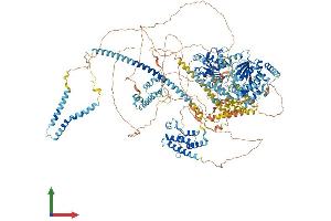 Protein Structure (PS) image for SWI/SNF Related, Matrix Associated, Actin Dependent Regulator of Chromatin, Subfamily A, Member 4 (SMARCA4) (AA 1-1647) protein (His tag) (ABIN7555557)