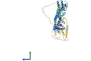 Protein Structure (PS) image for Cyclic Nucleotide Gated Channel alpha 2 (CNGA2) (AA 1-664) protein (His tag) (ABIN7557787)