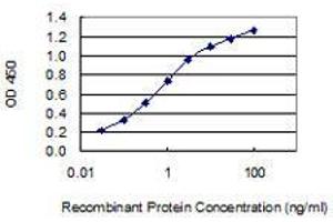 Detection limit for recombinant GST tagged NPFF is 0. (Neuropeptide FF 抗体  (AA 1-116))