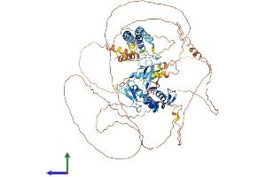 Protein Structure (PS) image for Ring Finger Protein 19A (RNF19A) (AA 1-840) protein (His tag) (ABIN7563370)