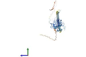 Protein Structure (PS) image for Phosphate Cytidylyltransferase 1, Choline, alpha (PCYT1A) (AA 1-367) protein (His tag) (ABIN7563340)