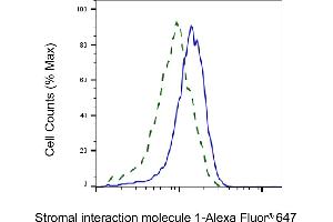 Validation of Stromal interaction molecule 1 knockdown using flow cytometry. (Recombinant STIM1 抗体)