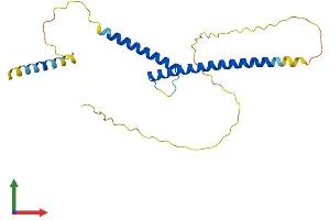 Protein Structure (PS) image for MAX Dimerization Protein 1 (MXD1) (AA 1-227) protein (His tag) (ABIN7563364)