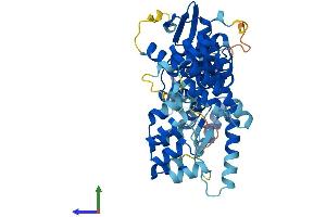 Protein Structure (PS) image for Ankyrin Repeat and BTB (POZ) Domain Containing 1 (ABTB1) (AA 1-478) protein (His tag) (ABIN7560373)