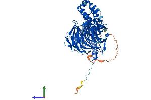 Protein Structure (PS) image for Kelch-Like 21 (KLHL21) (AA 1-597) protein (His tag) (ABIN7557147)