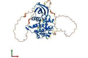 Protein Structure (PS) image for STE20-Related Kinase Adaptor beta (STRADB) (AA 1-418) protein (His tag) (ABIN7546482)