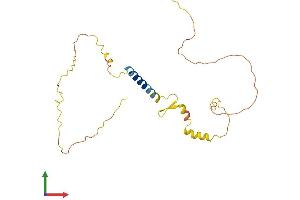 Protein Structure (PS) image for Calcyon Neuron-Specific Vesicular Protein (CALY) (AA 1-226) protein (His tag) (ABIN7561326)