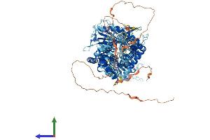 AlphaFold protein structure predicition of Mouse Recombinant Ptch2 Protein, UniprotID O35595