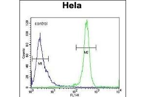DEN5A Antibody (Center) (ABIN654470 and ABIN2844204) flow cytometric analysis of Hela cells (right histogram) compared to a negative control cell (left histogram). (DENND5A 抗体  (AA 695-724))