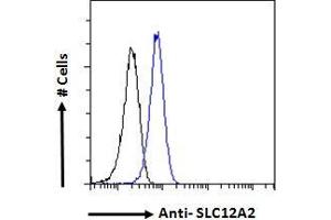 Flow Cytometry (FACS) image for anti-Solute Carrier Family 12 (Potassium-Chloride Transporter) Member 2 (SLC12A2) (Internal Region) antibody (ABIN570824)