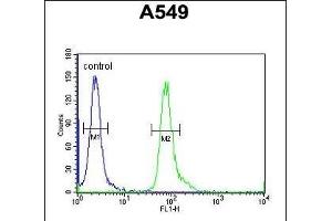 C Antibody (Center) (ABIN654949 and ABIN2844590) flow cytometric analysis of A549 cells (right histogram) compared to a negative control cell (left histogram). (FAM46D 抗体  (AA 210-239))