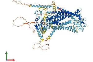 Protein Structure (PS) image for Anoctamin 2 (ANO2) (AA 1-1003) protein (His tag) (ABIN7552281)
