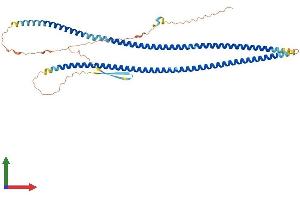 Protein Structure (PS) image for Peripherin (PRPH) (AA 1-475) protein (His tag) (ABIN7562885)