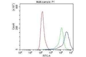 Flow Cytometry analysis of A549 cells using anti-IFNGR1 antibody . (IFNGR1 抗体  (C-Term))