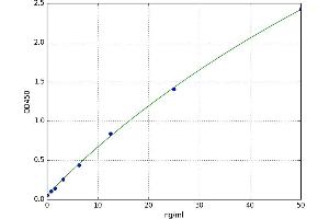 Arginine (ARG) ELISA Kit