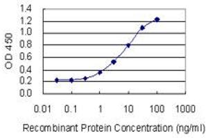 ELISA image for anti-Cytochrome P450, Family 1, Subfamily A, Polypeptide 2 (CYP1A2) (AA 211-310) antibody (ABIN947768)