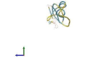 AlphaFold protein structure predicition of Human Recombinant EEA1 Protein, UniprotID Q15075 (EEA1 Protein (AA 1-1411) (His tag))