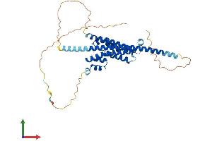 AlphaFold protein structure predicition of Mouse Recombinant Fbxo28 Protein, UniprotID Q8BIG4