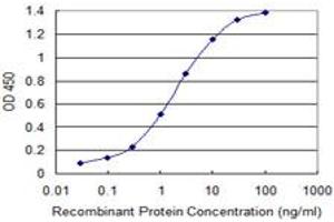 Detection limit for recombinant GST tagged FOXA3 is 0. (FOXA3 抗体  (AA 266-350))