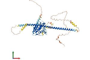 Protein Structure (PS) image for RUN Domain Containing 3B (RUNDC3B) (AA 1-473) protein (His tag) (ABIN7551587)