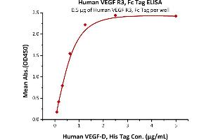 Immobilized Human VEGF R3, Fc Tag (ABIN5526635,ABIN5526636) at 5 μg/mL (100 μL/well) can bind Human VEGF-D, His Tag (ABIN2181913) with a linear range of 0.