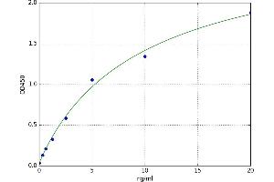 Tenomodulin (TNMD) ELISA Kit