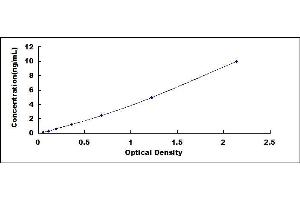 Typical standard curve (BTK ELISA 试剂盒)