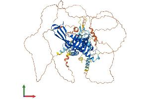 Protein Structure (PS) image for Ubiquitin Specific Peptidase 1 (USP1) (AA 1-785) protein (His tag) (ABIN7555948)