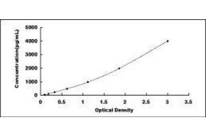 Defensin beta 2 (BD-2) ELISA Kit
