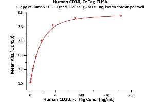 Immobilized Human CD30 Ligand, Mouse IgG2a Fc Tag, low endotoxin (ABIN5954987,ABIN6253579) at 2 μg/mL (100 μL/well) can bind Human CD30, Fc Tag (ABIN2180743,ABIN2180742) with a linear range of 0. (TNFRSF8 Protein (AA 19-379) (Fc Tag))