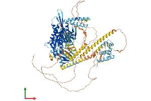 Protein Structure (PS) image for Kinesin Family Member 1C (KIF1C) (AA 1-1103) protein (His tag) (ABIN7554380)