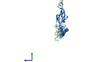 Protein Structure (PS) image for Mitochondrial E3 Ubiquitin Protein Ligase 1 (MUL1) (AA 1-352) protein (His tag) (ABIN7564733)