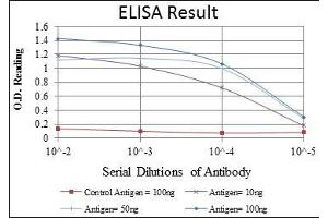 Red: Control Antigen (100 ng), Purple: Antigen (10 ng), Green: Antigen (50 ng), Blue: Antigen (100 ng), (MAP3K2 抗体)